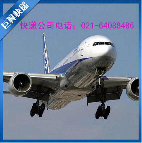 選擇我、就是邁向成功，TNT上海直飛國際貨運！