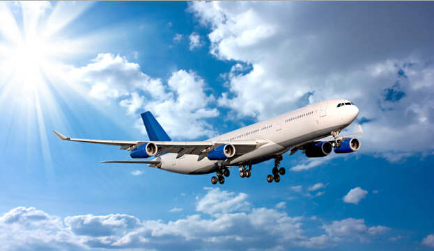 美國國際快遞空運-寵物空運小知識！